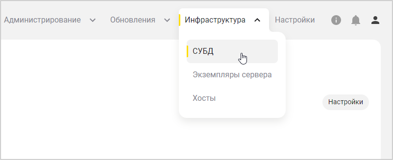 Выбор пункта СУБД в меню Инфраструктура