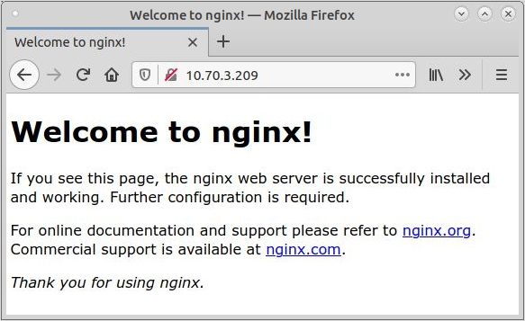 Стандартная страница nginx